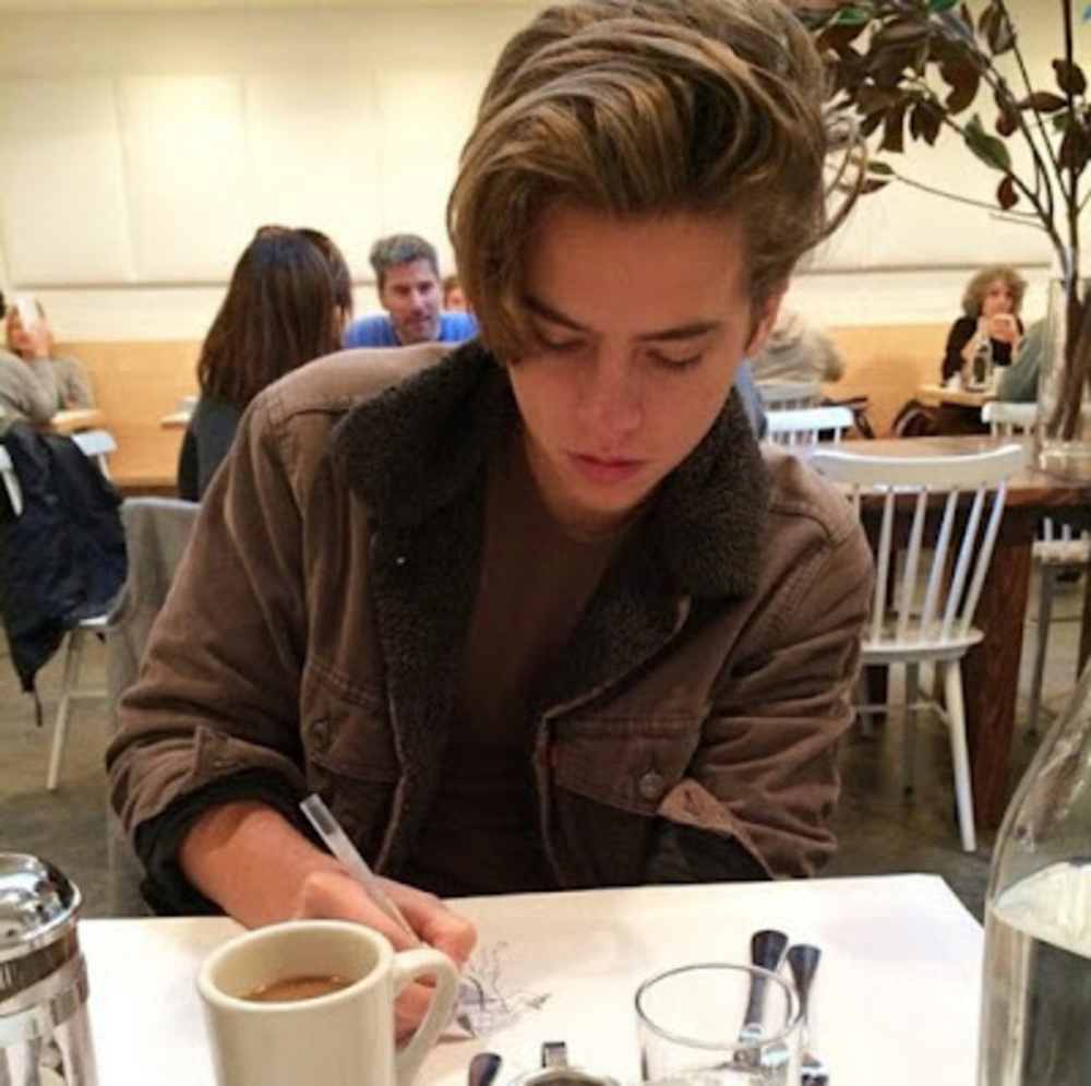 Meet your Posher, Phoebe